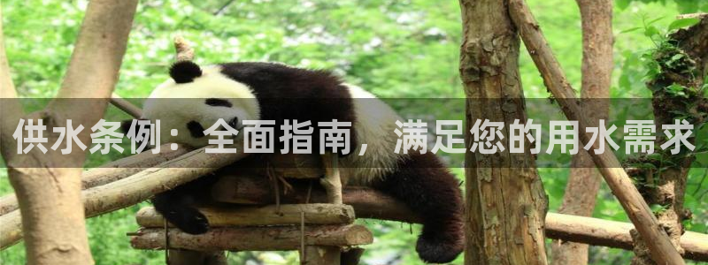 qy球友会体育(中国)官方网站