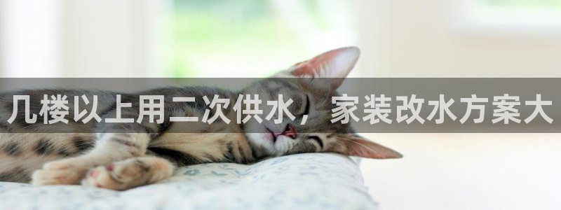 球友会是什么