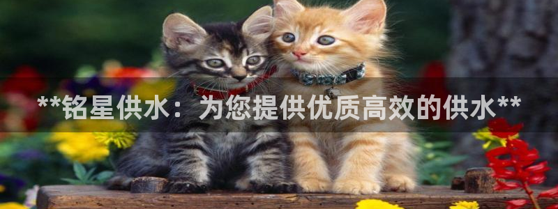 球友会app网址