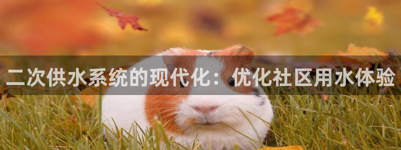 球友会体育app下载安卓手机